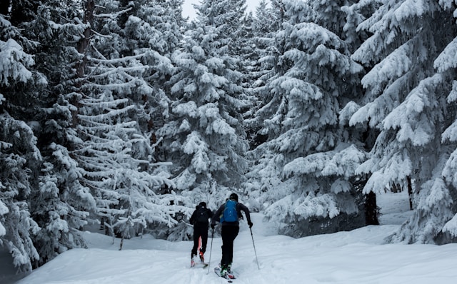 Quels sont les meilleurs endroits pour faire du ski hors-piste ?